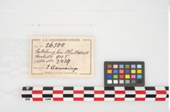 Etikett zu Bronzeknotenarmreif (NHMW-PRAE-026500)